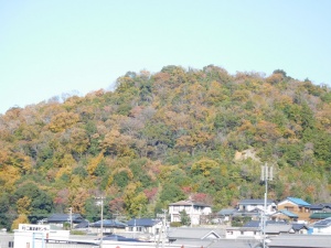 藤川の山